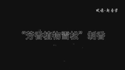 Handcrafted Botanical Incense Sticks – Natural Calm Aroma